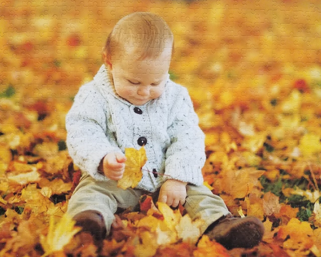 Grandparents Puzzle and Retirement Puzzle 500 Piece Puzzle The Missing Piece Puzzle Company