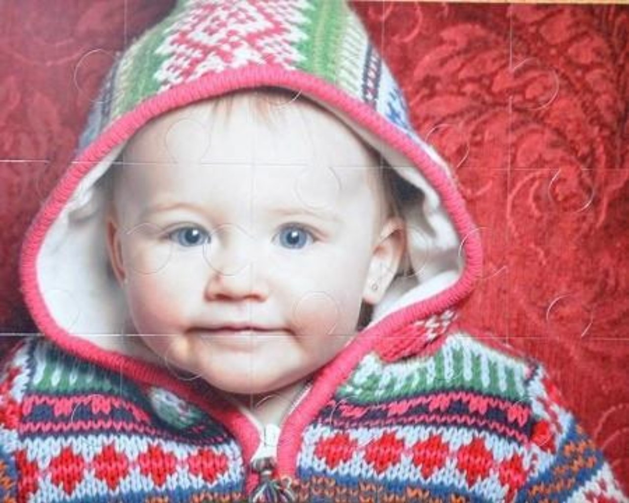 Extra Large Puzzle Pieces XL Thick puzzle for young child. Toddler Puzzle. The Missing Piece Puzzle Company