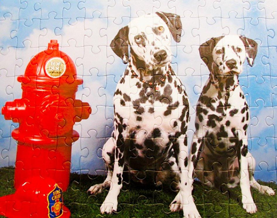 Custom Photo Jigsaw Puzzle With 104 Pieces - A Fun Family Portrait Puzzle The Missing Piece Puzzle Company