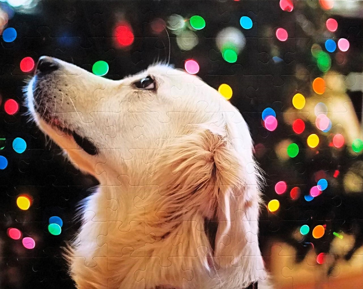 LARGE Custom Photo Puzzle - Choose Your Piece Count From 15 to 500 Piece Custom Puzzles The Missing Piece Puzzle Company