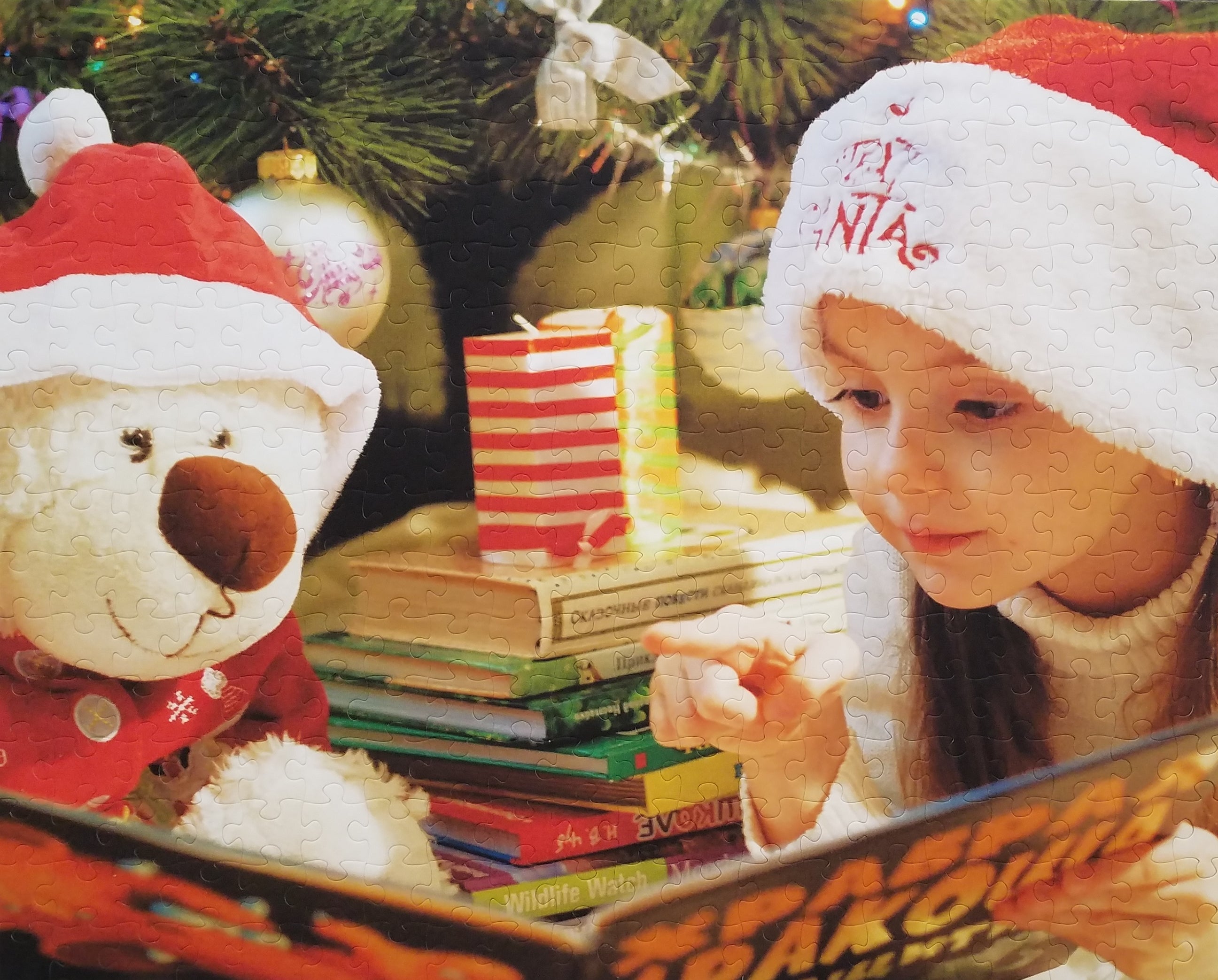 Personalized Puzzle Gift.  16x20 inches The Missing Piece Puzzle Company